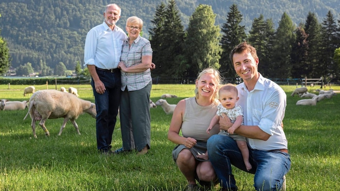 Eisl Schafmilchprodukte: Am Wolfgangsee entstehen seit 30 Jahren aus Bio-Schafmilch ...