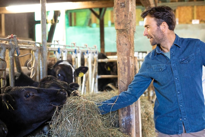 Putz Wagyu: Carina und Roland Pühringer setzen in Ohlsdorf auf Wagyu-Rinder, viel Sorgfalt und ...