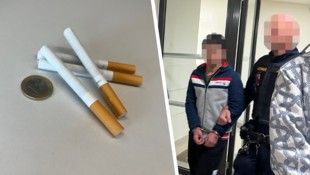 Seit Mitte Jänner sitzt der 16-Jährige für die mehr als magere Beute in U-Haft.