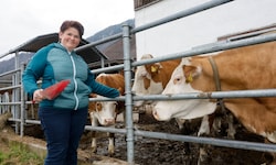 Katharina Seywald hat 35 Kühe. Der Verkauf von Schlachtvieh sei derzeit in Ordnung, aber die ...
