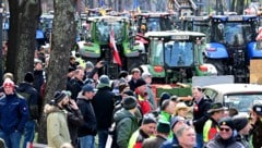 Hunderte Bauern haben am Dienstagnachmittag in Wien für „bessere Zukunftsperspektiven“ ...