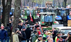 Hunderte Bauern haben am Dienstagnachmittag in Wien für „bessere Zukunftsperspektiven“ ...