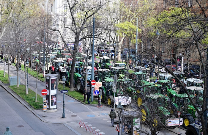 Hunderte Bauern zogen deshalb am Dienstag durch Wien.
