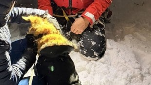 Der Hund war plötzlich weg. Er war über eine Wechte in den Abgrund gestürzt.