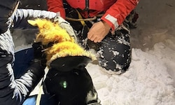 Der Hund war plötzlich weg. Er war über eine Wechte in den Abgrund gestürzt.