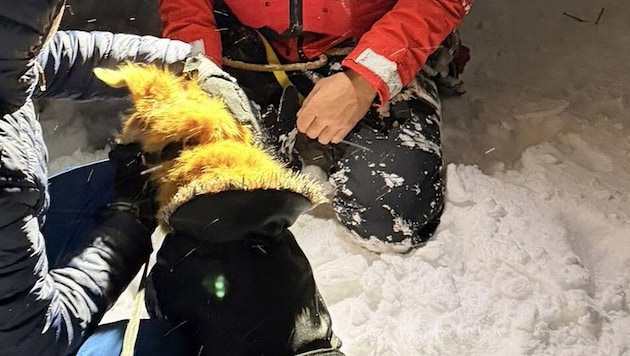 Der Hund war plötzlich weg. Er war über eine Wechte in den Abgrund gestürzt.