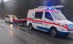 Die Wasserrettung konnte die vier Personen retten.