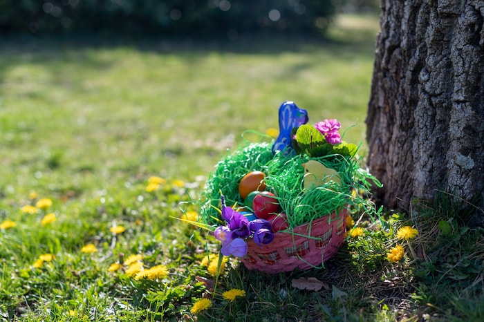 Just in time for Easter Sunday, a temporary high-pressure system will bring widespread sunny and ...