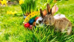 Geht sich am Osterwochenende der erste Sommertag mit bis zu 25 Grad aus?