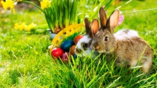 Geht sich am Osterwochenende der erste Sommertag mit bis zu 25 Grad aus?