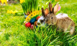 Geht sich am Osterwochenende der erste Sommertag mit bis zu 25 Grad aus?
