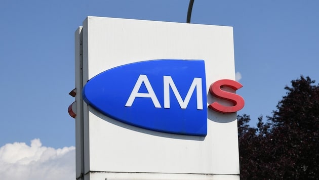 Ein wählerischer Langzeitarbeitsloser sorgte im „Krone“-Forum für Diskussionen.