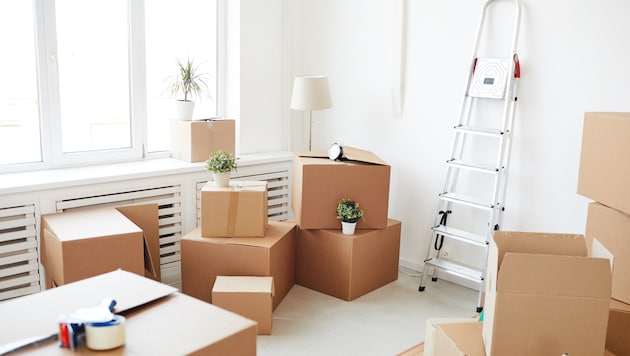 Die meisten Haushalte besitzen mehr, als sie brauchen können.