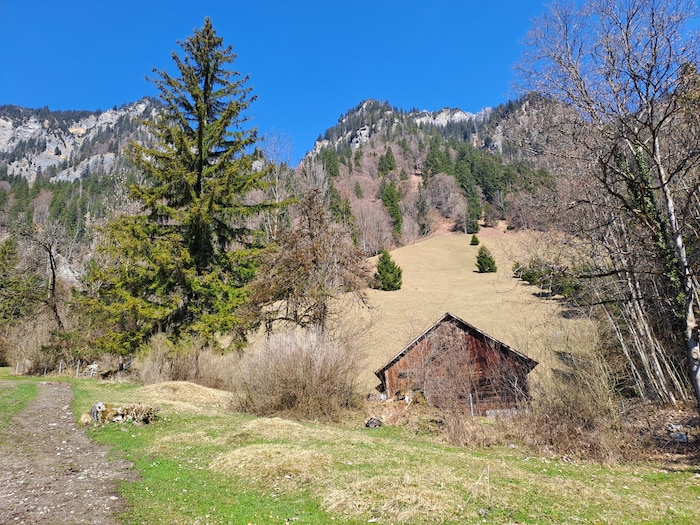 Zum Teil ist die Wanderroute schon schneefrei – je nach aktueller Witterung.