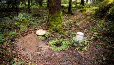 Im Klosterwald Bludesch gilt die freie Bestatterwahl: Alle Bestatter dürfen Beisetzungen ...