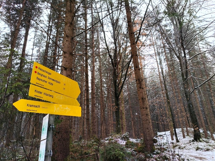 Die Route verläuft idyllisch durch den Wald.