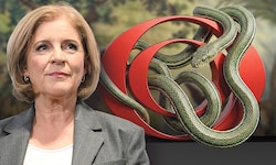 Generaldirektorin Ingrid Thurnher muss nach den vielen Sündenfällen im ORF Ruhe in den Rundfunk ...