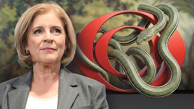 Following the many scandals at ORF, Director General Ingrid Thurnher must restore calm to the ...
