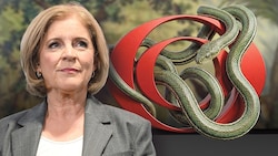 Generaldirektorin Ingrid Thurnher muss nach den vielen Sündenfällen im ORF Ruhe in den Rundfunk ...