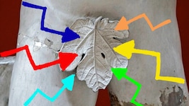 Die primäre erogene Zone des Mannes dürfte an einer anderen Stelle liegen, als bislang vermutet.