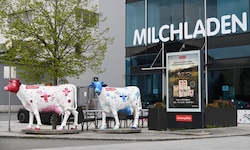 Die SalzburgMilch und Pinzgau Milch dürfen fusionieren.