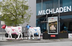 Die SalzburgMilch und Pinzgau Milch dürfen fusionieren.