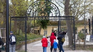 Der Tiergarten Schönbrunn bleibt ein beliebtes Ausflugsziel, vor allem jetzt in den Osterferien.