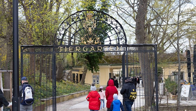 Der Tiergarten Schönbrunn bleibt ein beliebtes Ausflugsziel, vor allem jetzt in den Osterferien.