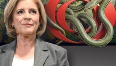 Ingrid Thurnher muss die Sünden in der ORF-Schlangengrube aufarbeiten.