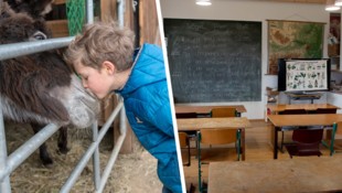 Neben Eseln und Co. wird ab September unterrichtet – in einer privaten Volksschule am Bauernhof