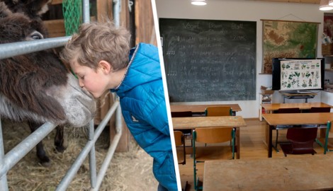 Neben Eseln und Co. wird ab September unterrichtet – in einer privaten Volksschule am Bauernhof