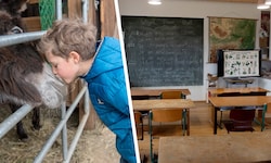 Neben Eseln und Co. wird ab September unterrichtet – in einer privaten Volksschule am Bauernhof