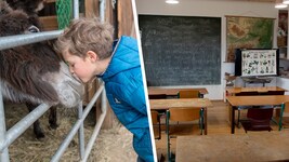 Neben Eseln und Co. wird ab September unterrichtet – in einer privaten Volksschule am Bauernhof