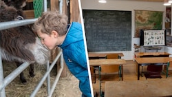Neben Eseln und Co. wird ab September unterrichtet – in einer privaten Volksschule am Bauernhof