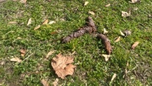 Auch viele Parks sind betroffen – wie etwa der Glanpark in Klagenfurt. 