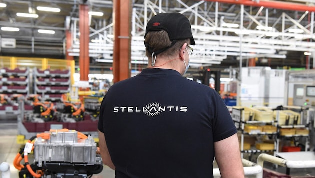 Der Autokonzern Stellantis hat weltweit ungefähr 700.000 Fahrzeuge zurückgerufen, davon 10.600 ...