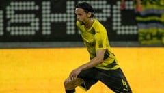 Neven Subotić spielte insgesamt über acht Jahre für Borussia Dortmund, von 2008 bis Anfang 2017.