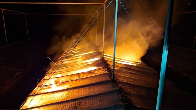 Brennendes Gewächshaus in Bludenz