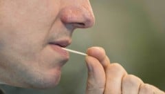 Die Zahnstocher sind mit Nikotin getränkt – das Nervengift gelangt durch Lutschen oder Kauen in ...