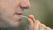 Die Zahnstocher sind mit Nikotin getränkt – das Nervengift gelangt durch Lutschen oder Kauen in ...