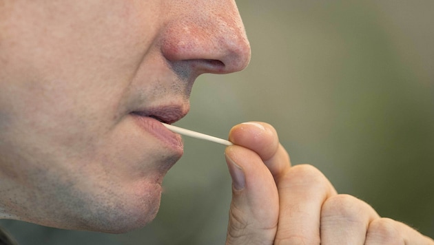 Die Zahnstocher sind mit Nikotin getränkt – das Nervengift gelangt durch Lutschen oder Kauen in ...