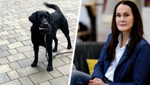 Das Schicksal von Hündin „Milli“ aus St. Johann ist leider kein Einzelfall, Maggie Entenfellner ...