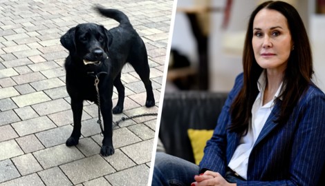 Das Schicksal von Hündin „Milli“ aus St. Johann ist leider kein Einzelfall, Maggie Entenfellner ...