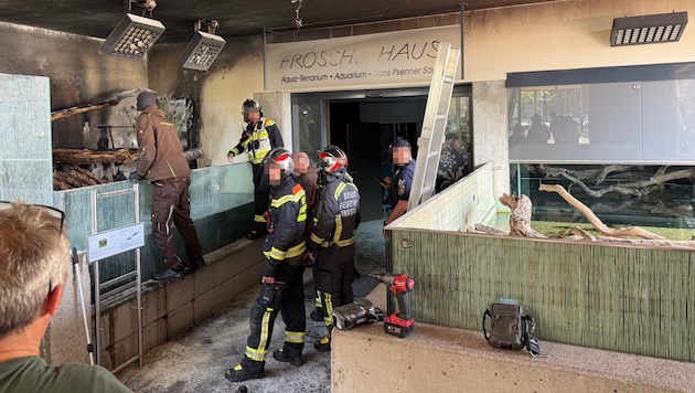 Am Nachmittag kam es zu dem Brand im Alpenzoo.