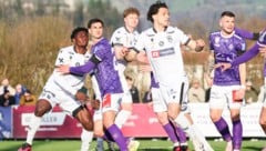 Für die Bregenzer (in Weiß) reichte es bei Austria Salzburg trotz 2:0-Führung nur zu einem ...