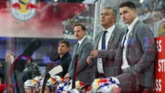 Für Manny Viveiros wird ein Nachfolger gesucht