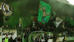 Die Wacker-Fans sorgten für beste Stimmung.