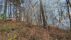 7000 Quadratmeter Vegetation standen in Brand