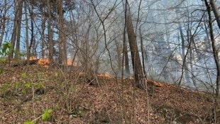 7000 Quadratmeter Vegetation standen in Brand