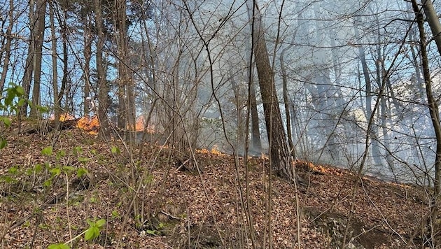 7000 Quadratmeter Vegetation standen in Brand